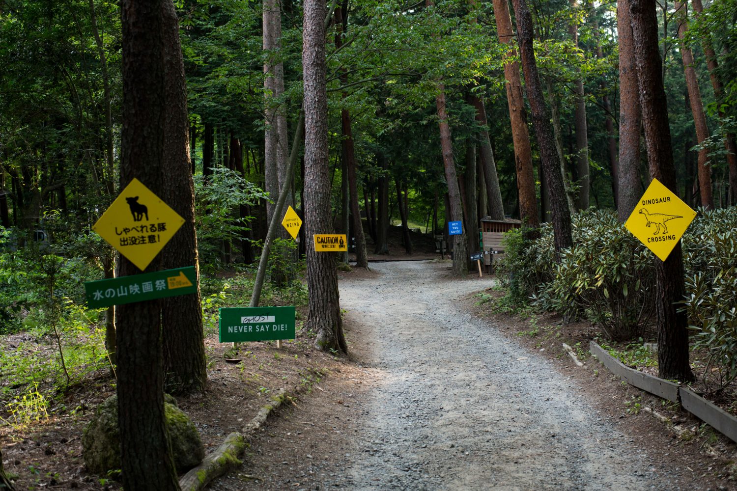Mizunoyama Film Festival