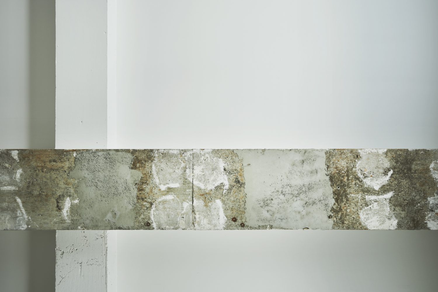 skeleton office project　-hachobori-