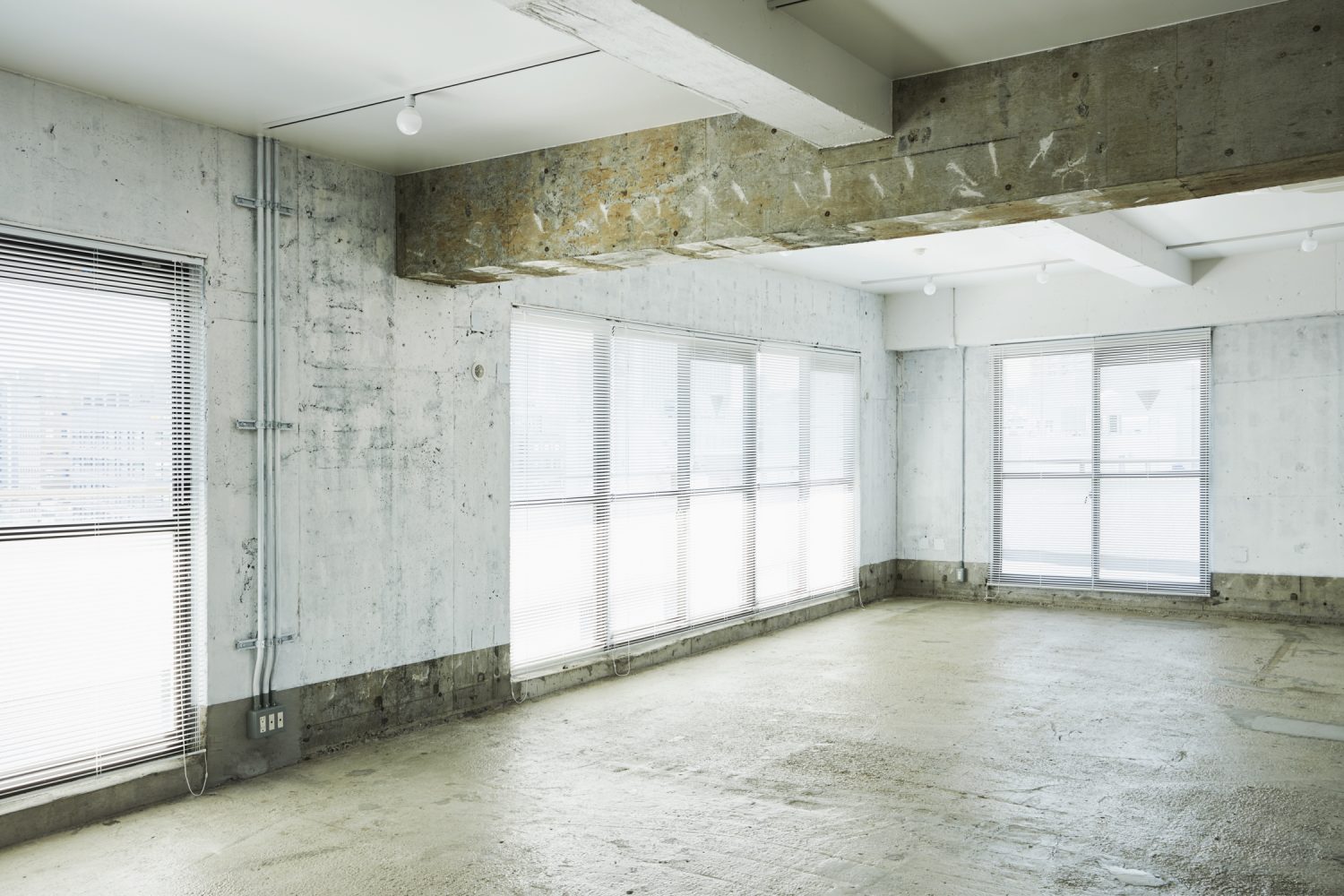 skeleton office project　-hachobori-