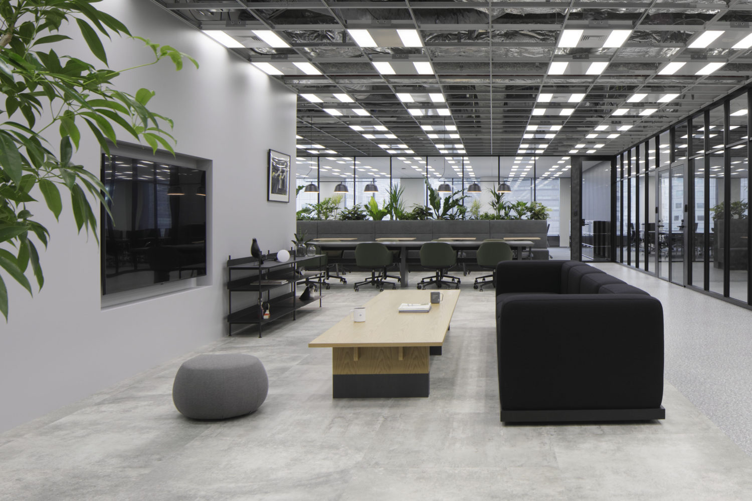 KENKOU PLAZA (M.STAGE GROUP)