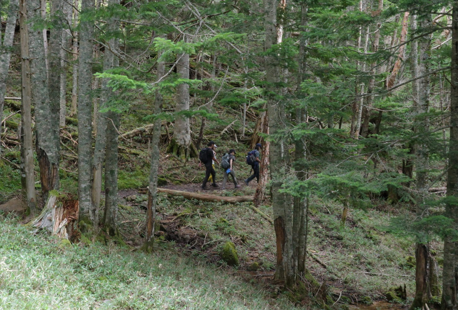 [note新着記事] はじまりは山登りとともに