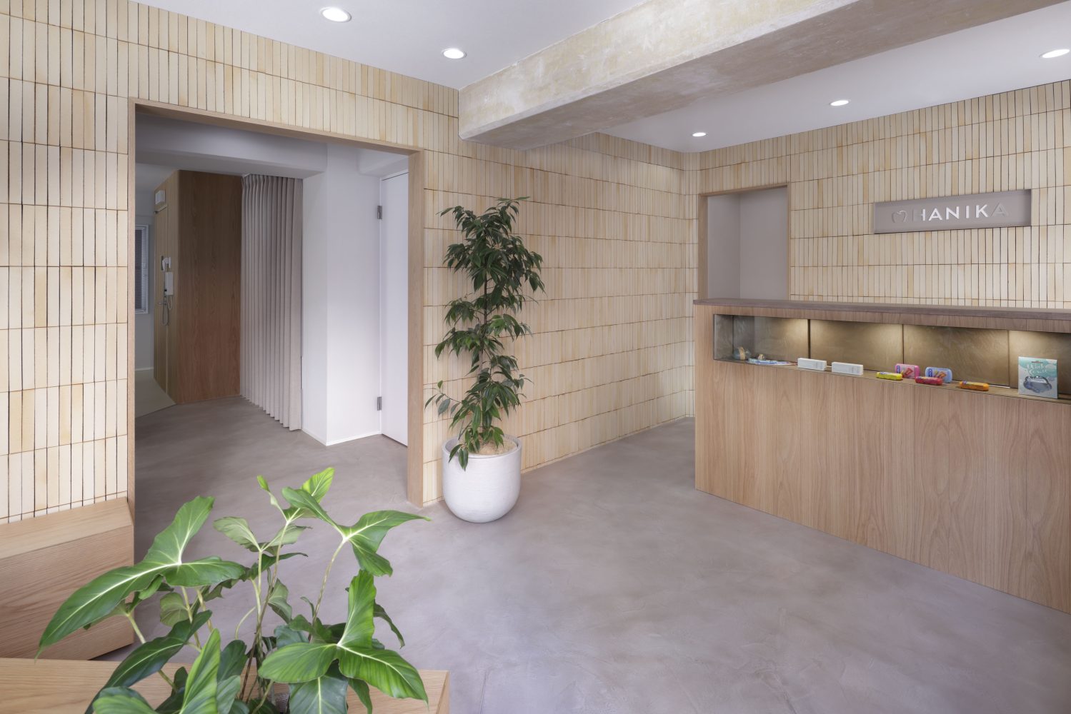 HANIKA maintenance clinic