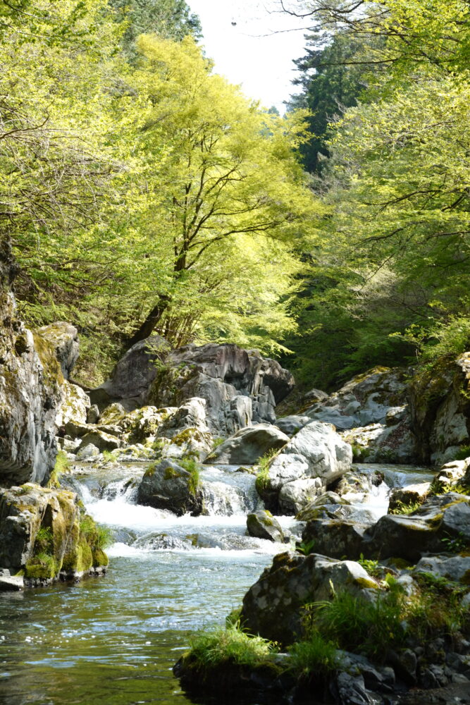 川を愛する仲間と味わいたいビール『BACK TO RIVER 2026』が完成！